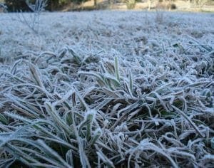Alerta: Madrugada com geada no norte do Paraná