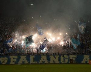 Ano do Tubarão foi de eliminação vexatória à título nacional