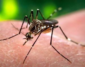 4ª etapa de vacinação contra a dengue começa nesta semana