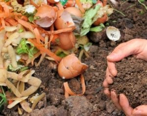 Vila Cultural Alma Brasil sedia Oficina de Compostagem