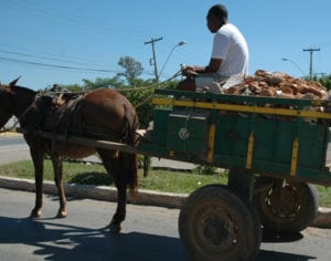 Prefeitura de Londrina inicia cadastramento de carroceiros