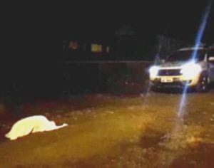 Índio é assassinado a tiros em distrito de Londrina