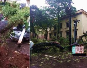 Temporal deixa rastro de destruição em Londrina e região