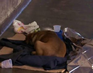 Homem morre na Rodoviária e corpo fica abandonado no local