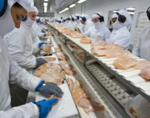Arábia Saudita cancela importações de carne de frango do Brasil