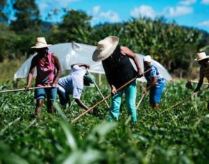 90% dos agricultores não se aposentam com nova Previdência, diz Contag