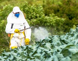 MP realiza audiência pública sobre ‘Uso de Agrotóxicos em Londrina’