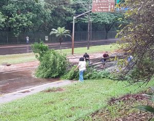 Chuva provoca alagamentos e estragos em Londrina