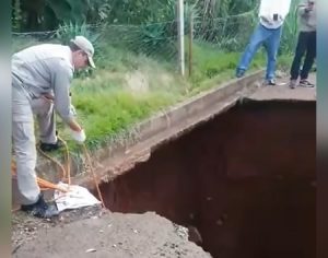 Vídeo: cachorro cai em cratera aberta na Zona Sul de Londrina