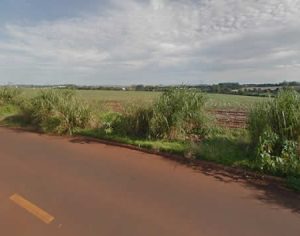 Mulher é encontrada morta com sinais de abuso sexual em Londrina