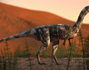 Conheça Vespersaurus paranaensis: o dinossauro encontrado no Paraná