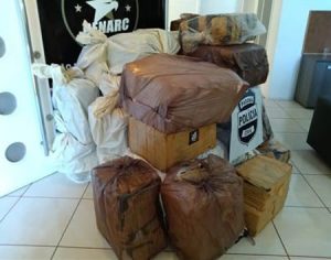 Denarc apreende 1 tonelada de maconha no meio de linguiças em Rolândia