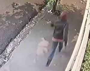 Polícia divulga imagens de suspeito da morte de servidora municipal
