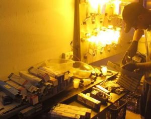 Detentos trabalham para Sercomtel em projeto de ressocialização