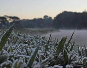 Temperatura cai e Londrina registra manhã mais fria do ano