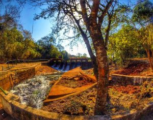 Lindo registro do Parque Arthur Thomas