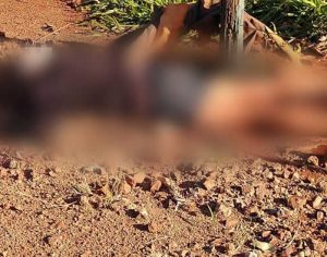 Mulher é encontrada morta na Zona Rural de Londrina