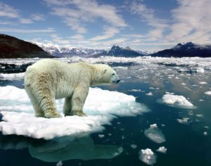 ONU prevê oceanos com temperaturas mais altas e menos oxigênio