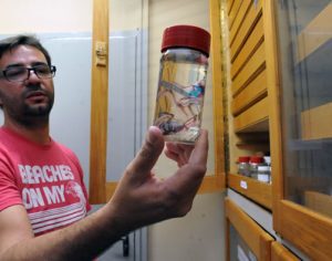 Museu de Zoologia da UEL é considerado o 6º maior do Brasil