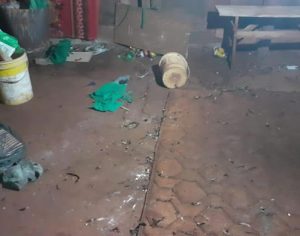 Polícia prende cinco pessoas e fecha rinha de galo na Zona Norte Londrina