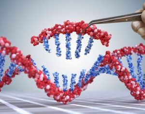Nova técnica de edição de DNA pode curar até 90% das doenças genéticas existentes