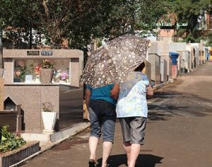 Acesf inicia preparativos para o feriado de finados