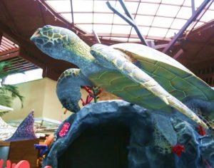 Shopping de Londrina recebe aquário gigante interativo neste mês
