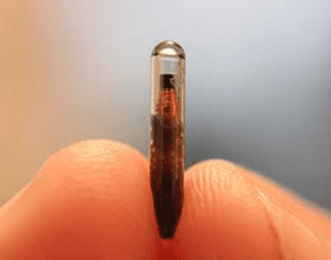 Chip implantado sob a pele pode substituir chaves, cartões e senhas