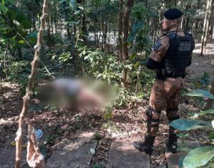 Corpo de homem é encontrado seminu no Bosque de Londrina