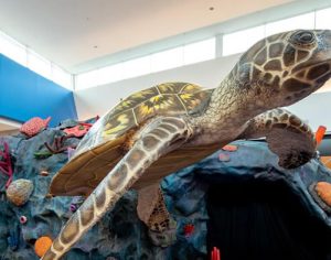 Shopping de Londrina abre no fim de semana com atrações gratuitas para crianças