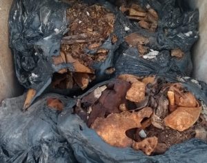 Quadrilha retirava cadáveres para vender terrenos em cemitério de Ibiporã