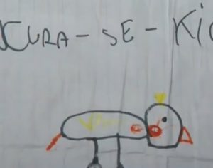 Criança desenha retrato falado de calopsita desaparecida e viraliza nas redes sociais