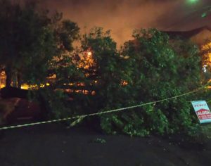 Temporal desta quinta causa inúmeros estragos em Londrina