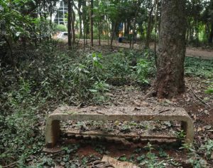 Projeto que transforma Bosque em praça será debatido nesta segunda