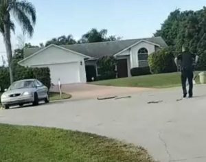 Cachorro fica sozinho dentro do carro e “dirige” em círculos até a chegada da polícia
