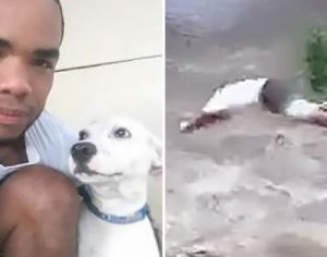 Homem pula em rio com correnteza para salvar seu cachorro; assista