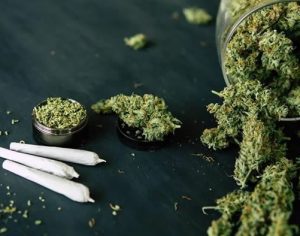 STF define limite de 40g de maconha para diferenciar usuário e traficante