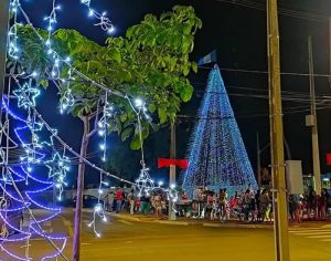 Belo registro da árvore de Natal do ‘Cincão’ em Londrina