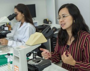 Universidade do Paraná desenvolve teste rápido e seguro contra dengue