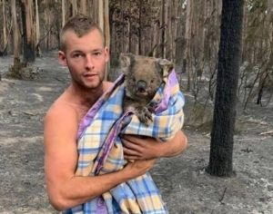 Jovem enfrenta incêndios na Austrália e salva nove coalas