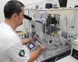 Pesquisadores da UEL desenvolvem novos tratamentos para dor
