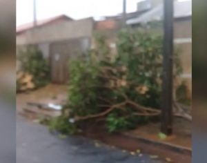 Tornado deixa rastro de destruição em Cambé; assista