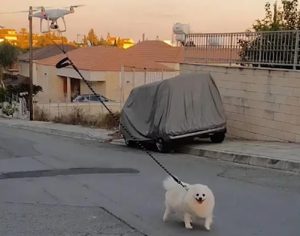 Homem usa drone para levar cão para passear durante quarentena; assista