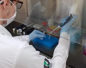 Londrina tem 65 novos casos de coronavírus nas últimas 24h