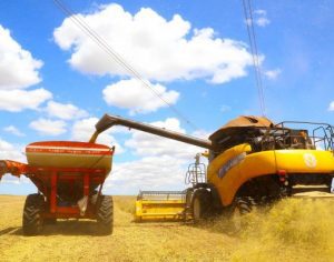 PIB do Paraná aumentou 2,3% no primeiro trimestre de 2020