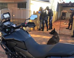 Patrulha Maria da Penha fez 51 atendimentos no mês novembro em Londrina