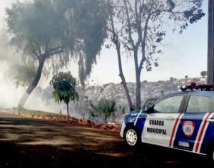 Guarda Municipal prende casal por crime ao meio ambiente