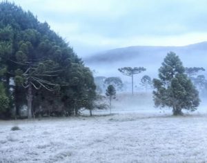 Londrina tem previsão de 7ºC no próximo fim de semana