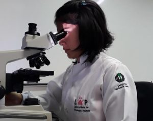UEL mantém mais de 300 grupos de pesquisa científica e tecnológica