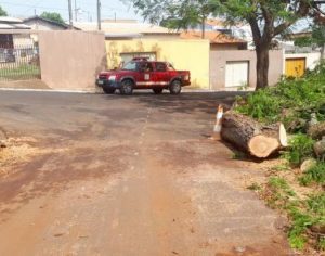Defesa Civil divulga balanço parcial após chuvas em Londrina